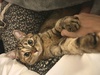 tmԂ