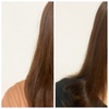 SANUS HAIR / Hair filter ObV[R[gVv[^g[ggiby kny0309j