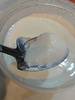 手づくりヨーグルトの素(種菌) / 牛乳で作る手づくりヨーグルトの素(種菌)（by のんミ☆さん）
