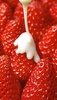 ݁[@0211