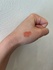 2025-06-03 13:17:29 by yR[