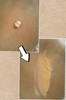 2016-09-18 19:36:50 by }U[13