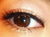 2011-04-09 15:30:29