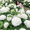 Yuko888さん