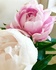 grace0102