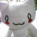 kachua_x