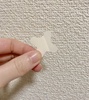 A0511A0B-4DDA-4EBB-87C8-C193B4C99189.jpeg