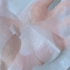 2025-02-24 19:31:56 by ݂Ȃ
