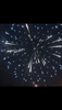 anemone_u