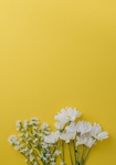 ȁ[V