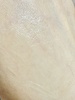 IMG_7907.jpeg