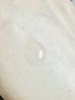 IMG_7909.jpeg