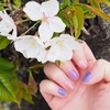 2025-04-02 01:05:23 by hitomin