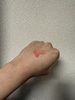 IMG_3871.jpeg