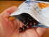 12-DSCN3972.JPG by ma-chi