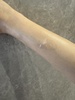 IMG_3707.jpeg