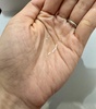 IMG_0510.jpeg
