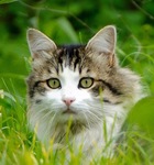 YuKi