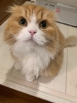 t[cɂႭ