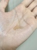 IMG_4152.jpeg