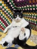 panda10022009