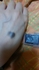 1483354509283404598025.jpg by p_