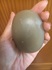 2016-09-06 15:05:20 by [[