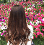 alice0606