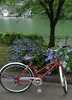 2016-07-06 16:20:31 by mad-about-TIREURさん