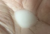 IMG_4675.jpeg