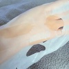 2025-06-10 15:53:27