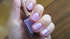 DSC_1817.JPG by (VցV)
