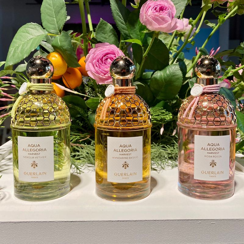 値上げGUERLAIN ◇ 限定香水　シークレット　インテンション 香水(女性用)