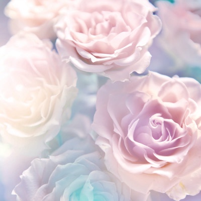 美容効果たっぷり バラの香りのコスメでキレイを底上げ 美容 化粧品情報はアットコスメ