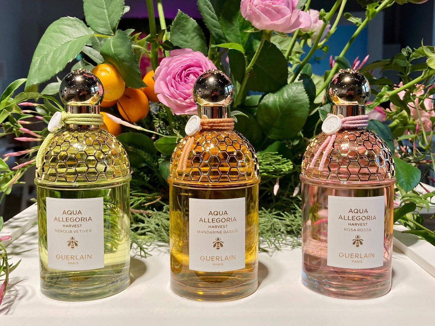 人気の店 ゲラン GUERLAIN 香水 | 178.210.90.137