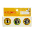 BURT'S BEES / we[WEeBEMtg
