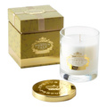 PORTUS CALE / FLORAL VINE Lh
