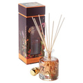 PORTUS CALE / HUMMING BIRD fBt[U[