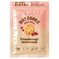 HEALSLAB / HEALSLAB WHOLE WHEAT DIET COOKIE