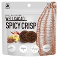 Ђ炯AJJIB / WELLCACAO SPICY CRISP