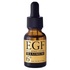 EGF / EGFfB[vp[GLX@}LV}