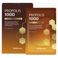 WELLDERMA / v|X1,000GlM[u[XeBO}XNpbN