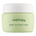 WELLOGY / Green Avocado Cream