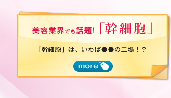 美容業界でも話題!「幹細胞」　「幹細胞」は、いわば●●の工場！？　more→ 「幹細胞」は、新しい細胞を生み出す源。いわば“細胞の工場”の役割を担っています。特定の細胞に変化し、傷を修復する能力があることが最新の研究結果でも実証されています。幹細胞の可能性が、今、注目を集めています！