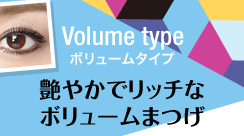 Volume type@{[^Cv@₩Ńb`ȃ{[܂