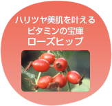 ハリツヤ美肌を叶えるビタミンの宝庫ローズヒップ