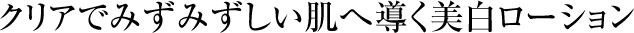 NAł݂݂֓[V